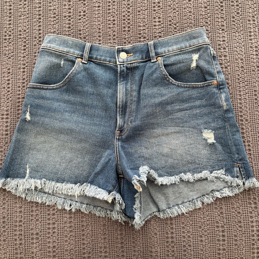 Express Denim Frayed Hem Jean Shorts